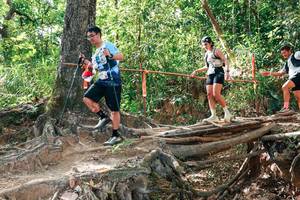 BIB: 
                            <button type="button" onclick="openModal(27716719)" class="btn btn-primary btn-sm float-right btn-popup" data-toggle="modal" data-target=".modal-high-quality">
                        <i class="fas fa-shopping-cart"></i> Add to Cart
                    </button>
                                            <button type="button" onclick="isThisMe(27716719, true)" class="btn btn-success btn-sm float-right btn-popup btn-isme hidden" data-toggle="tooltip" data-placement="bottom" title="นี่คือรูปของคุณใช่ไหม คลิกที่นี่เพื่อเอาเข้าอัลบั้ม">
                        <i class="fas fa-plus"></i> Add to album
                    </button>
                    <button type="button" onclick="isThisMe(27716719, false)" class="btn btn-warning btn-sm float-right btn-popup btn-isnotme hidden">
                        <i class="fas fa-ban"></i> Remove from album
                    </button>